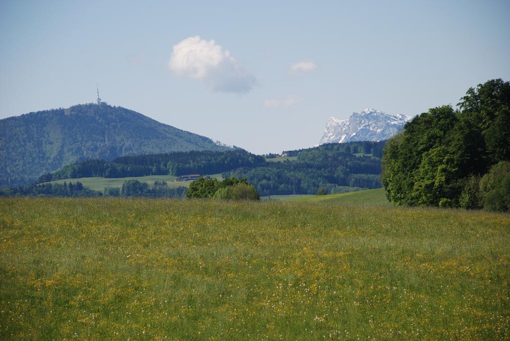 Landhaus Brieger Henndorf am Wallersee Eksteriør bilde