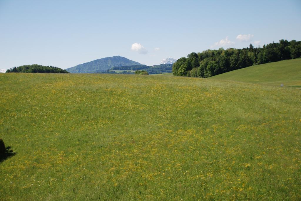 Landhaus Brieger Henndorf am Wallersee Eksteriør bilde